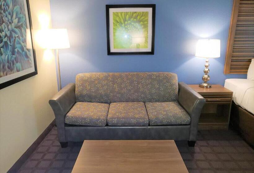 اتاق استاندارد با تخت بزرگ, Best Western Fishers Indianapolis Area