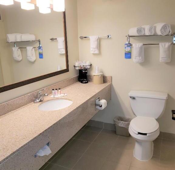 اتاق استاندارد با تخت بزرگ, Best Western Fishers Indianapolis Area