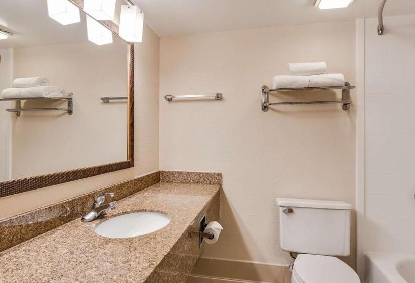 اتاق استاندارد با تخت بزرگ, Best Western Fishers Indianapolis Area