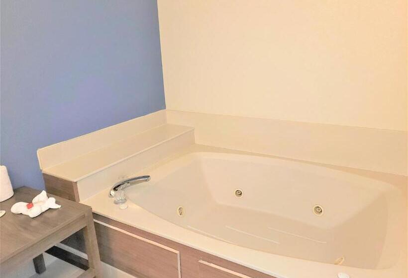سوئیت 2 خوابه, Best Western Fishers Indianapolis Area