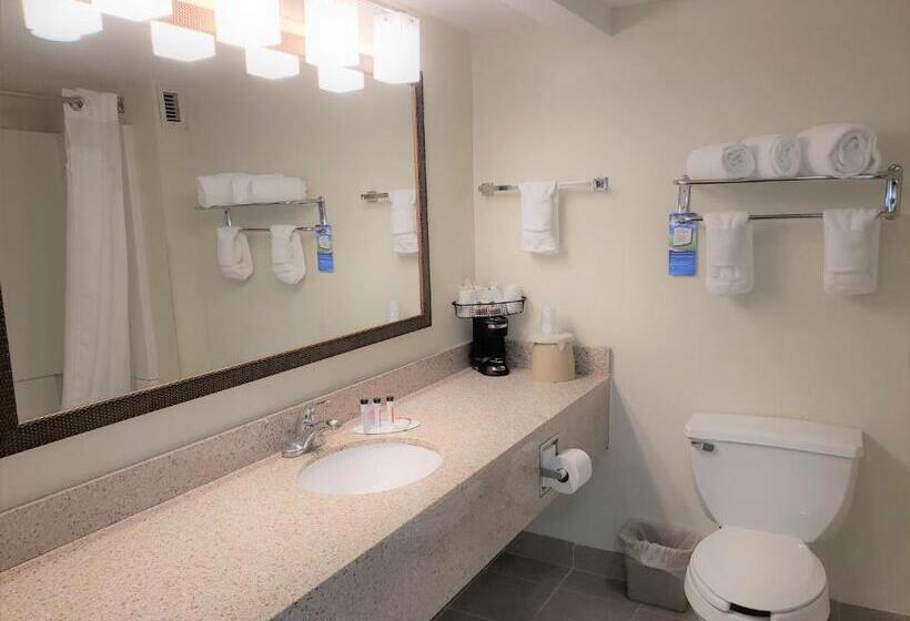 اتاق استاندارد با تخت بزرگ, Best Western Fishers Indianapolis Area