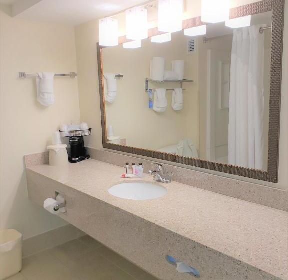 اتاق استاندارد با تخت بزرگ, Best Western Fishers Indianapolis Area