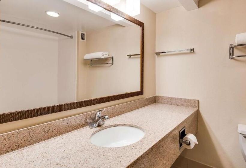 اتاق استاندارد با تخت بزرگ, Best Western Fishers Indianapolis Area