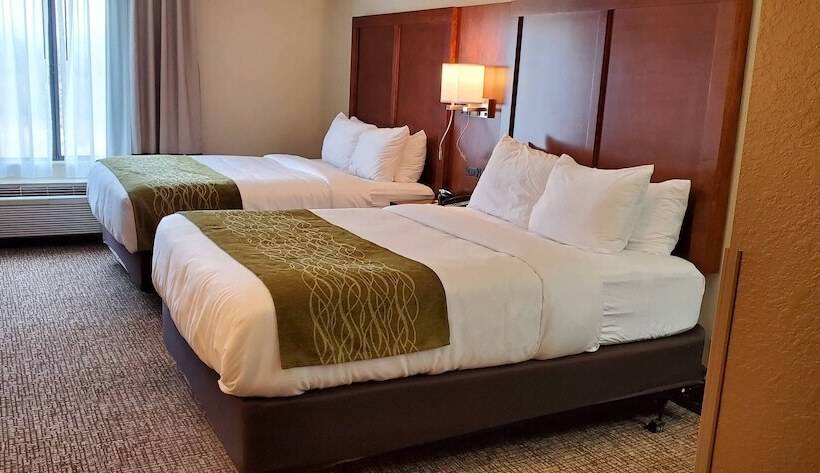 اتاق استاندارد با 2 تخت دوبل, Comfort Inn & Suites Decaturforsyth