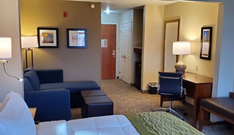 اتاق استاندارد با 2 تخت دوبل, Comfort Inn & Suites Decatur Forsyth