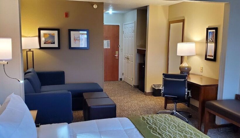 Standard Room 2 Double Beds, Comfort Inn & Suites Decaturforsyth