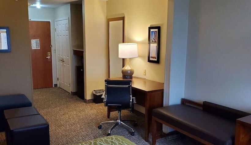 اتاق استاندارد با 2 تخت دوبل, Comfort Inn & Suites Decatur Forsyth