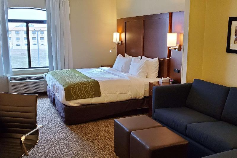 اتاق استاندارد با تخت بزرگ, Comfort Inn & Suites Decatur Forsyth