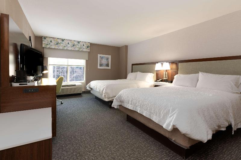 اتاق استاندارد با تخت دو نفره بزرگ, Hampton Inn & Suites Arlington Crystal City Dca