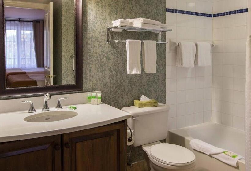 标准间, Holiday Inn Express & Suites Tremblant, An Ihg