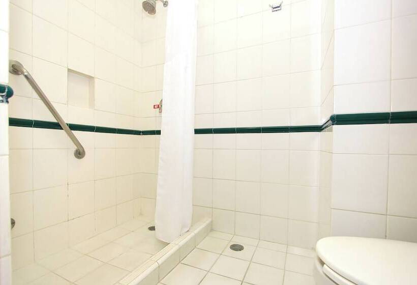 带2个双人床的标准工作室, Holiday Inn Leon Convention Center, An Ihg