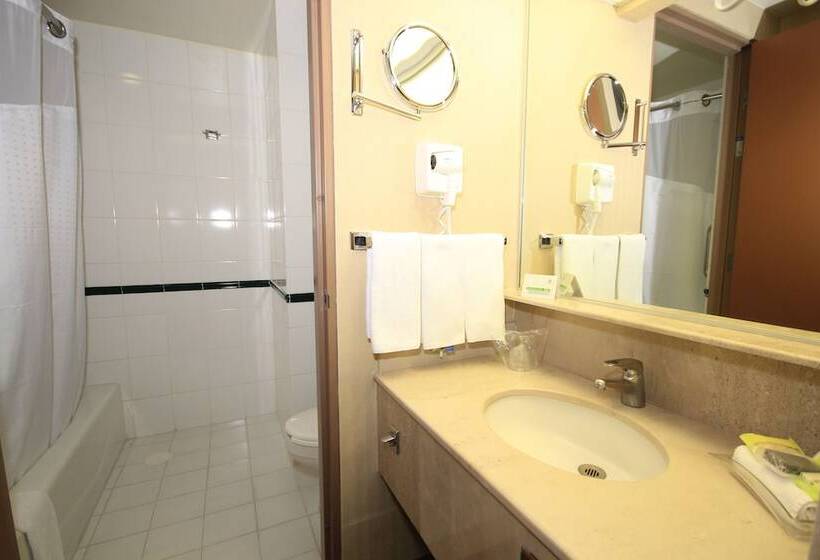 标准间, Holiday Inn Leon Convention Center, An Ihg