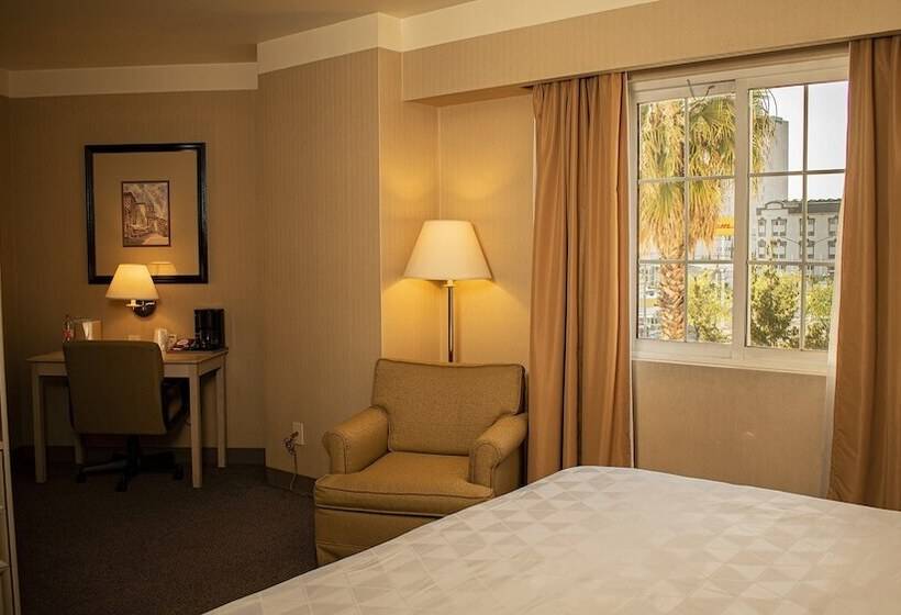 标准间, Holiday Inn Leon Convention Center, An Ihg