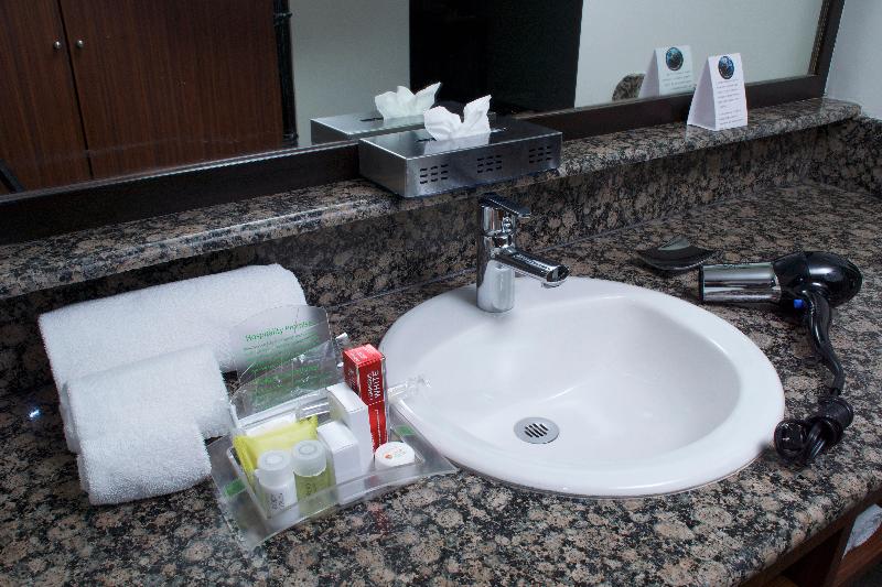 اتاق استاندارد, Holiday Inn Mexico City   Trade Center, An Ihg