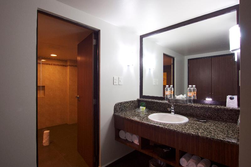 اتاق استاندارد, Holiday Inn Mexico City   Trade Center, An Ihg