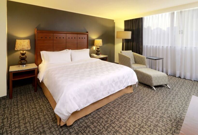 اتاق استاندارد, Holiday Inn Mexico City   Trade Center, An Ihg