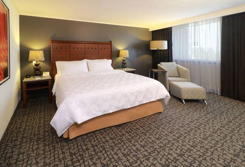 اتاق استاندارد, Holiday Inn Mexico City   Trade Center, An Ihg