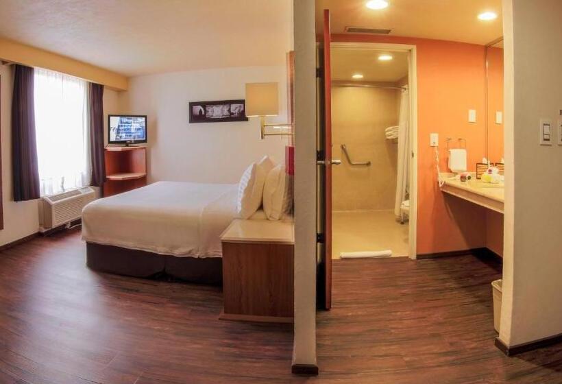 اتاق استاندارد با تخت بزرگ, Holiday Inn Orizaba, An Ihg