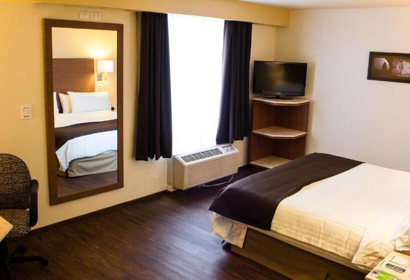 اتاق استاندارد با تخت بزرگ, Holiday Inn Orizaba, An Ihg