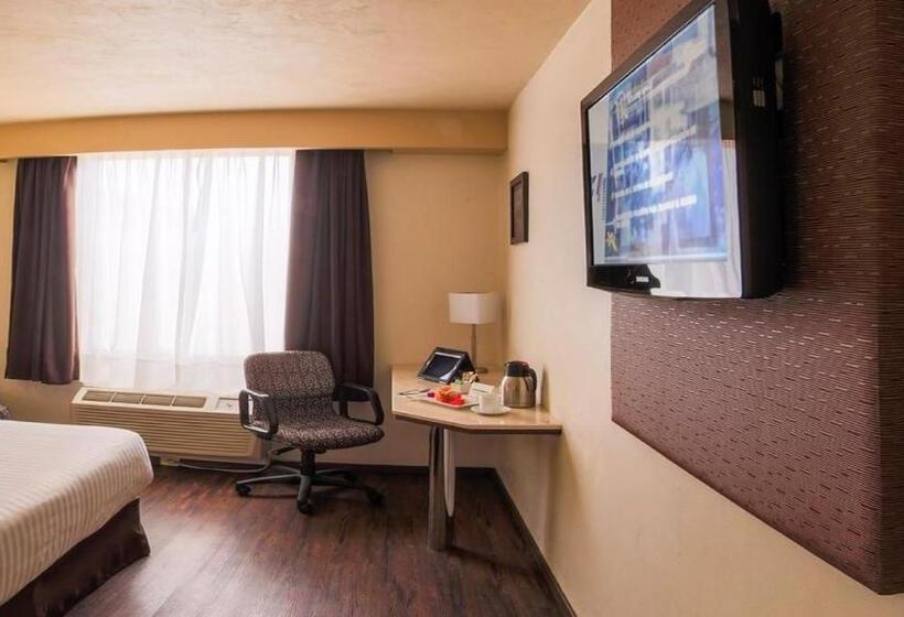 اتاق استاندارد, Holiday Inn Orizaba, An Ihg