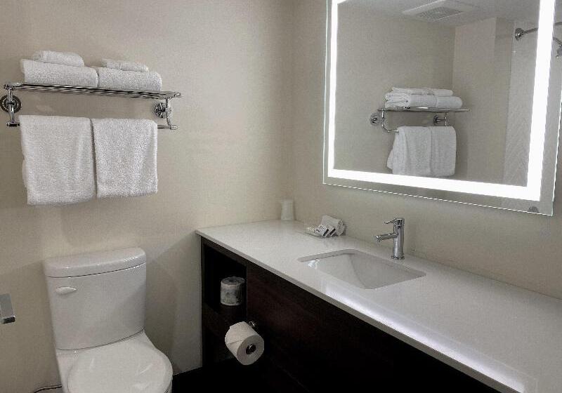 标准间, Holiday Inn Victoria   Elk Lake, An Ihg