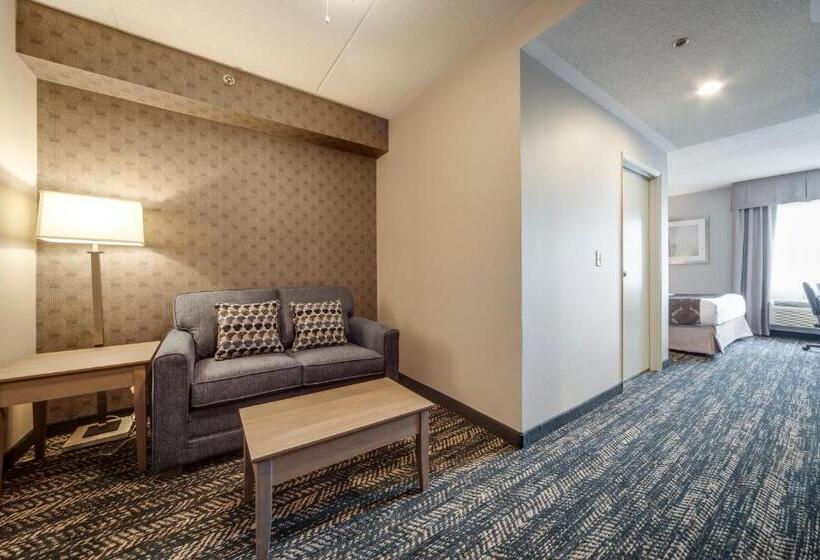 سوئیت با تخت بزرگ, Monte Carlo Inn Brampton
