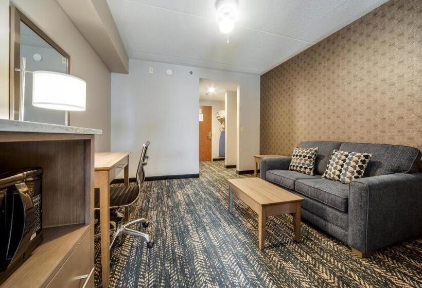 سوئیت با تخت بزرگ, Monte Carlo Inn Brampton