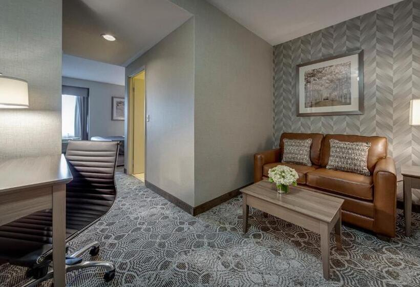 سوئیت با تخت بزرگ, Monte Carlo Inn Markham