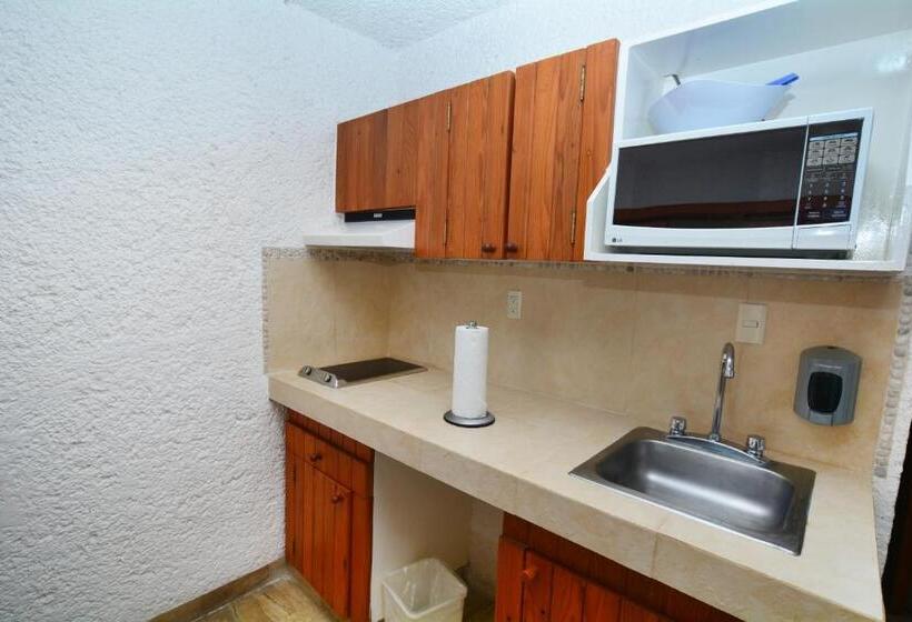 استودیوی استاندارد با چشم‌انداز دریا, Pacifica Resort Ixtapa