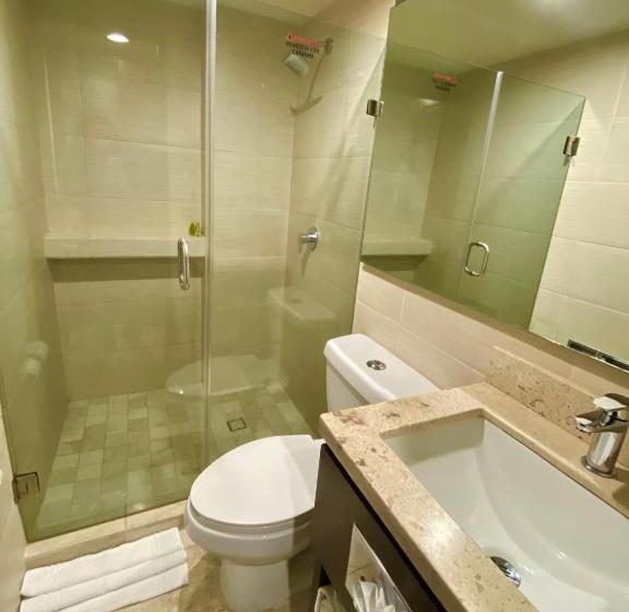 اتاق استاندارد با تخت بزرگ, Seven Crown La Paz Malecon