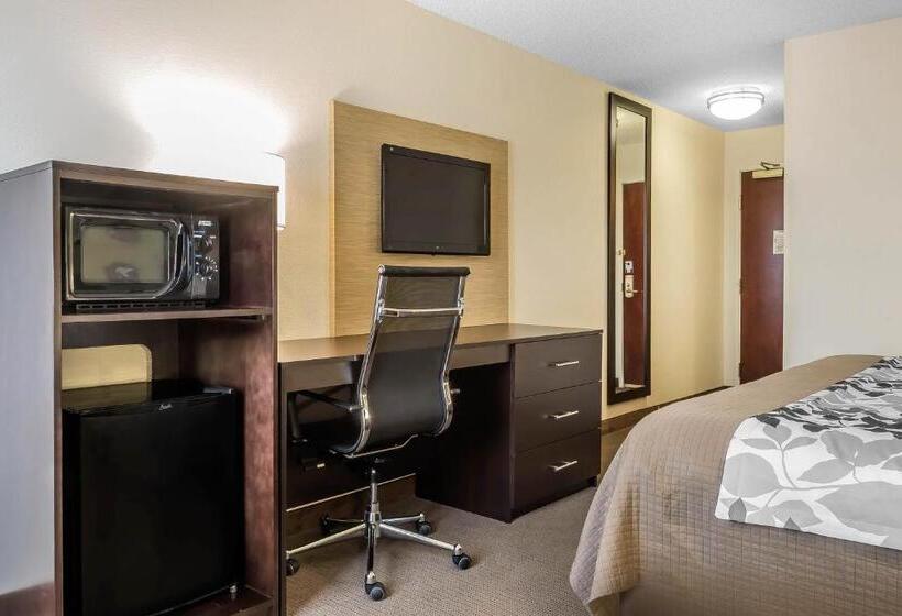 غرفة قياسية سرير كينج, Sleep Inn & Suites Dothan North