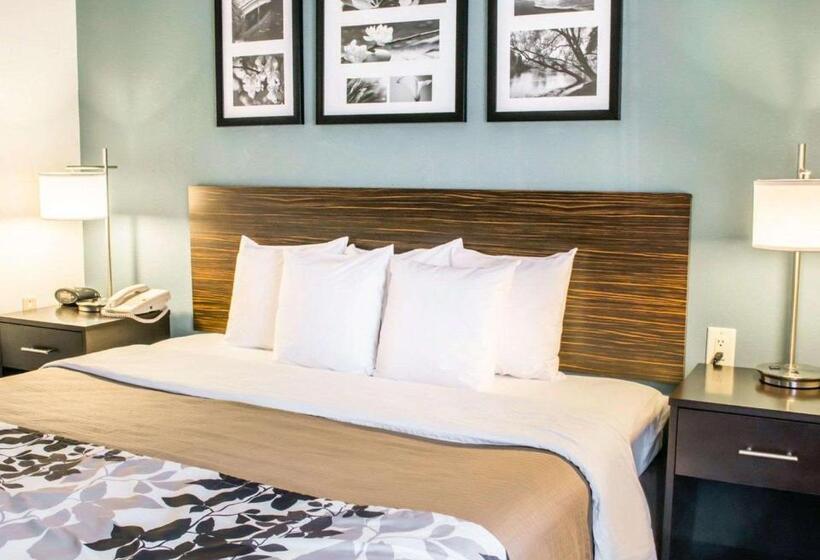 اتاق استاندارد با تخت بزرگ, Sleep Inn & Suites Monticello