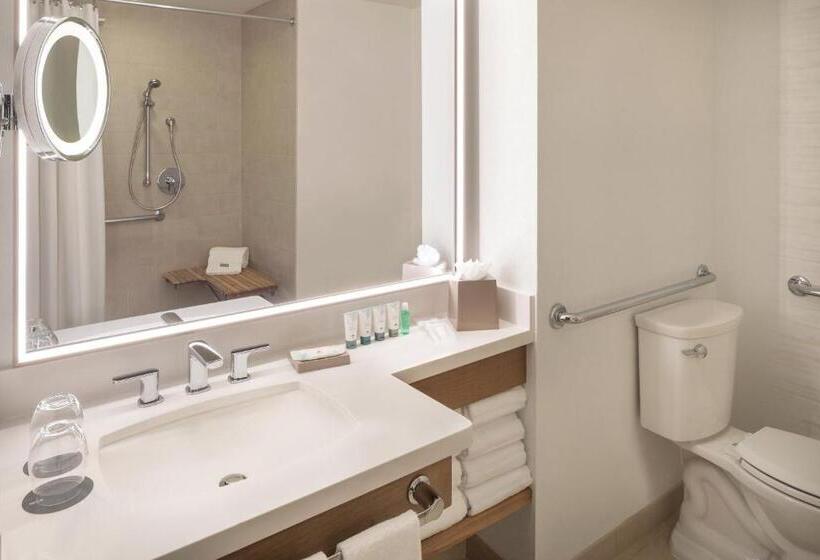 اتاق استاندارد با چشم‌انداز زمین, The Westin Kierland Resort & Spa