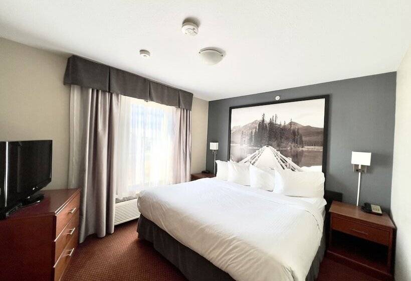 سوئیت با تخت بزرگ, Super 8 By Wyndham Whitecourt