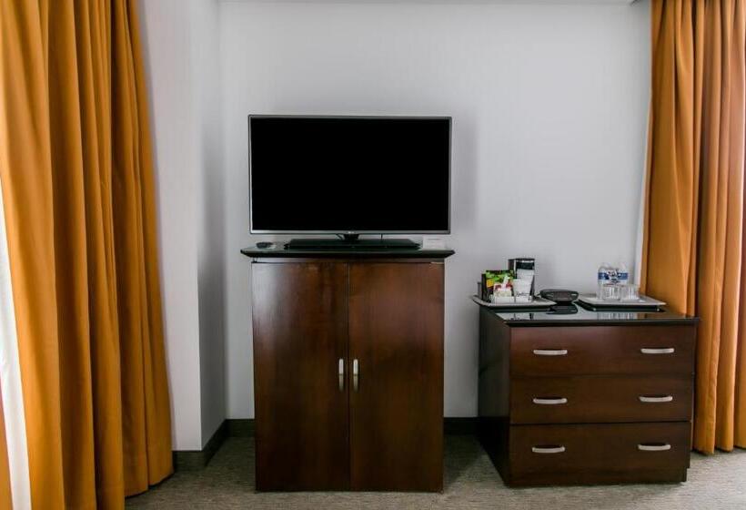 اتاق استاندارد با تخت بزرگ, Radisson Poliforum Plaza Hotel Leon