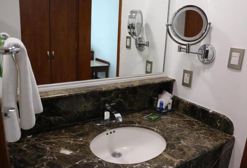 نمای استخر اتاق استاندارد چهارنفره, Radisson Poliforum Plaza Hotel Leon