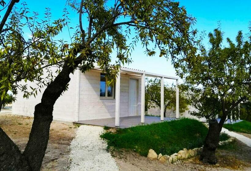 سوئیت جونیور خانوادگی, Mennuli&alivi   Organic Farm