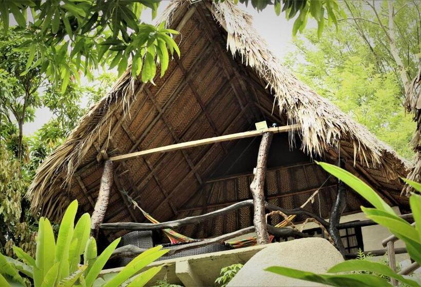 اتاق استاندارد با بالکن, Villa Cata