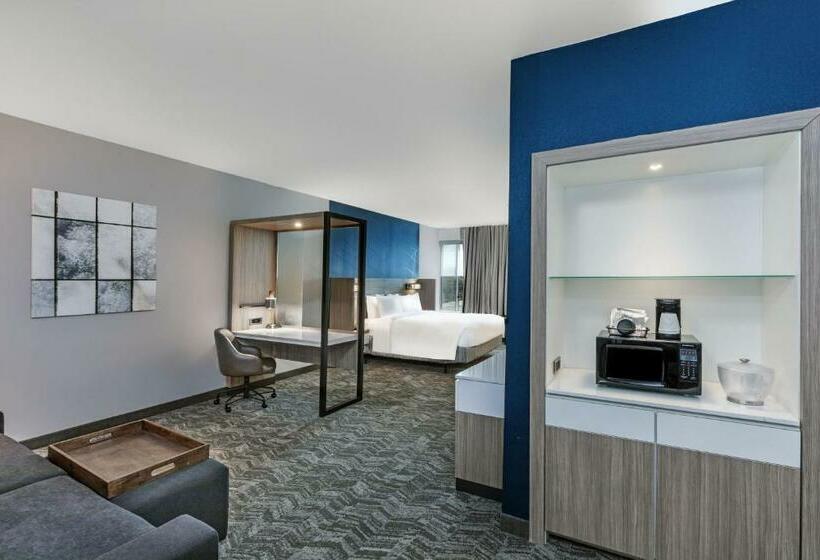 سوئیت با تخت بزرگ, Springhill Suites By Marriott Austin West/lakeway