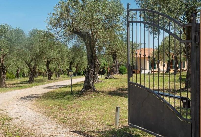 اتاق استاندارد چهار تخته, Welcomely   Country Guesthouse Olivar