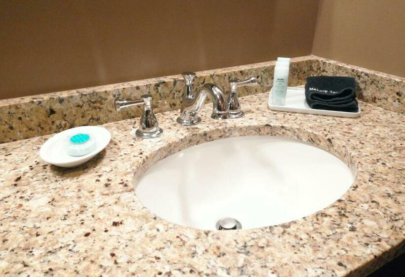 اتاق استاندارد یک نفره, Timberlake Lodge