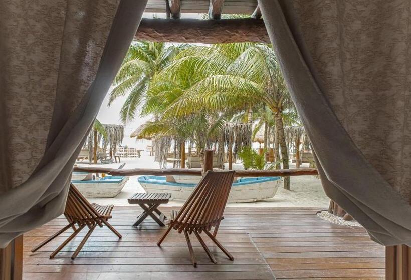 스탠다드 룸, Casa Las Tortugas Petit Beach Hotel & Spa