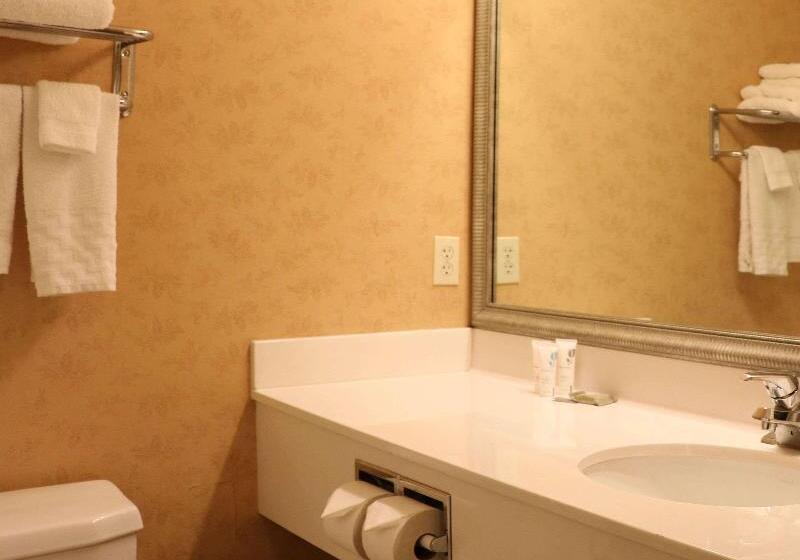 اتاق استاندارد با تخت بزرگ, Country Inn & Suites By Radisson, Lincoln North Hotel And Conference Center, Ne