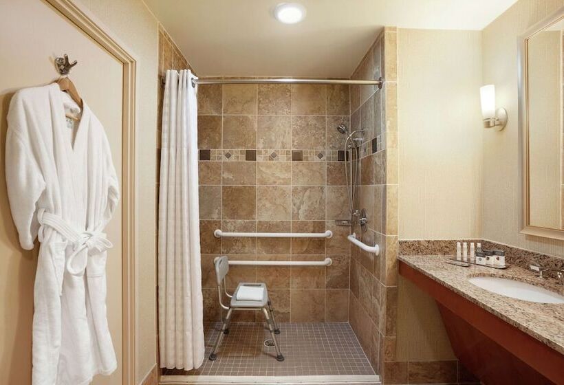 Standard Room Adapted for people with reduced mobility, Doubletree By Hilton Dallas Love Field