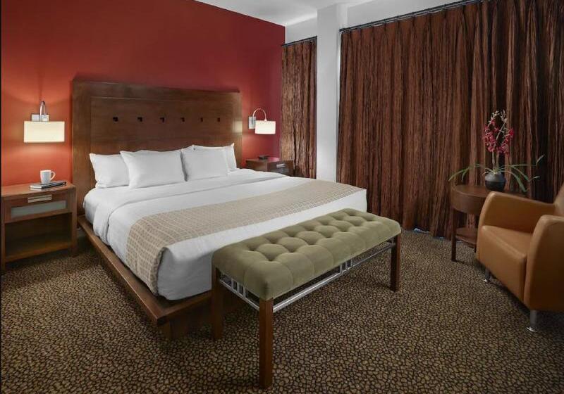 استودیو استاندارد با تخت کینگ, Metterra Hotel On Whyte