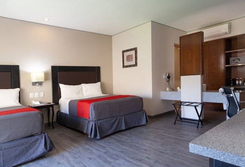 Executive Room, Plaza Camelinas