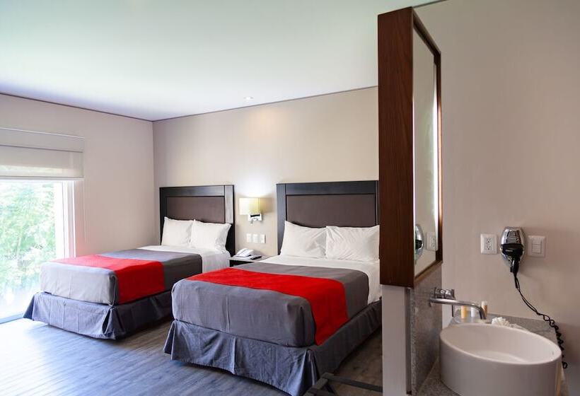 Executive Room, Plaza Camelinas