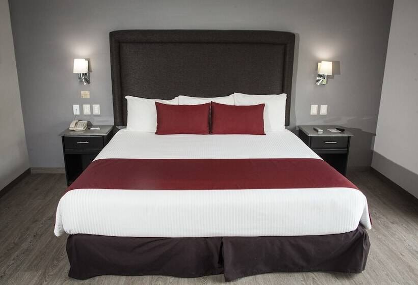 Executive Room King Size Bed, Plaza Camelinas