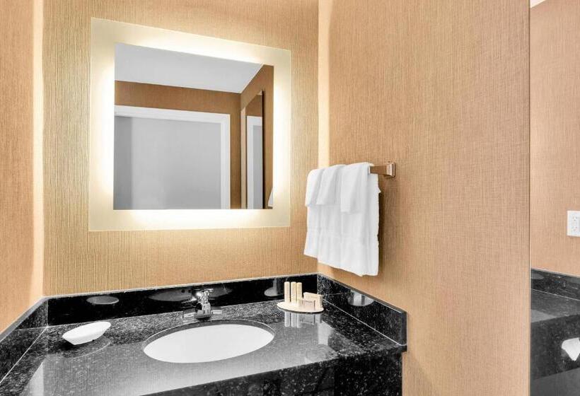 سوئیت با تخت بزرگ, Springhill Suites By Marriott Tarrytown Westchester County
