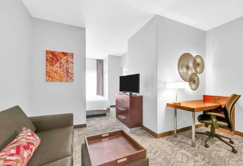 سوئیت با تخت بزرگ, Springhill Suites By Marriott Tarrytown Westchester County